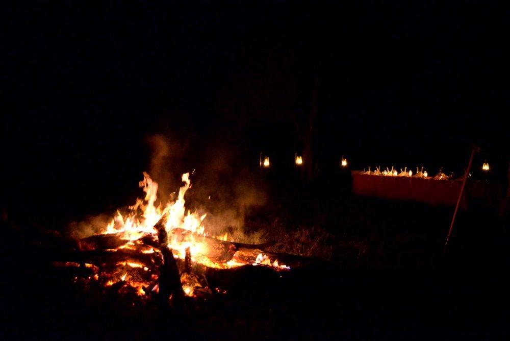 bush_dinner_masaimara