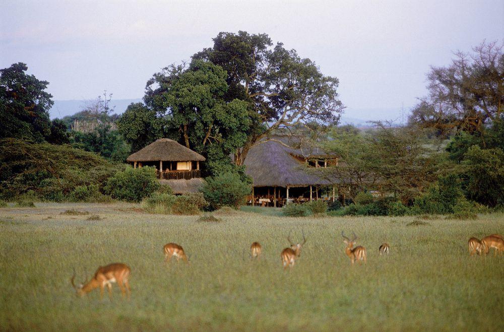 Antilopes grazing in the grass in front of guest tents at Basecamp Masai Mara safari camp in Kenya.