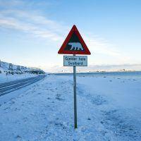 Danger of polar bears sign by road at Longyearbyen, Spitsbergen.