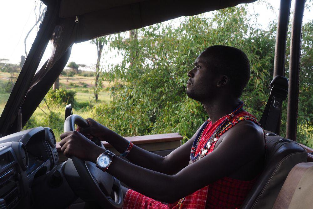 Maasai guide driving safari jeep through the African bush on game drive in Masai Mara, Kenya.