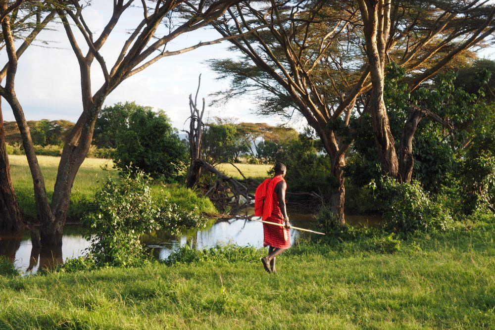 Maasai guide walking along river in Masai Mara, Kenya.