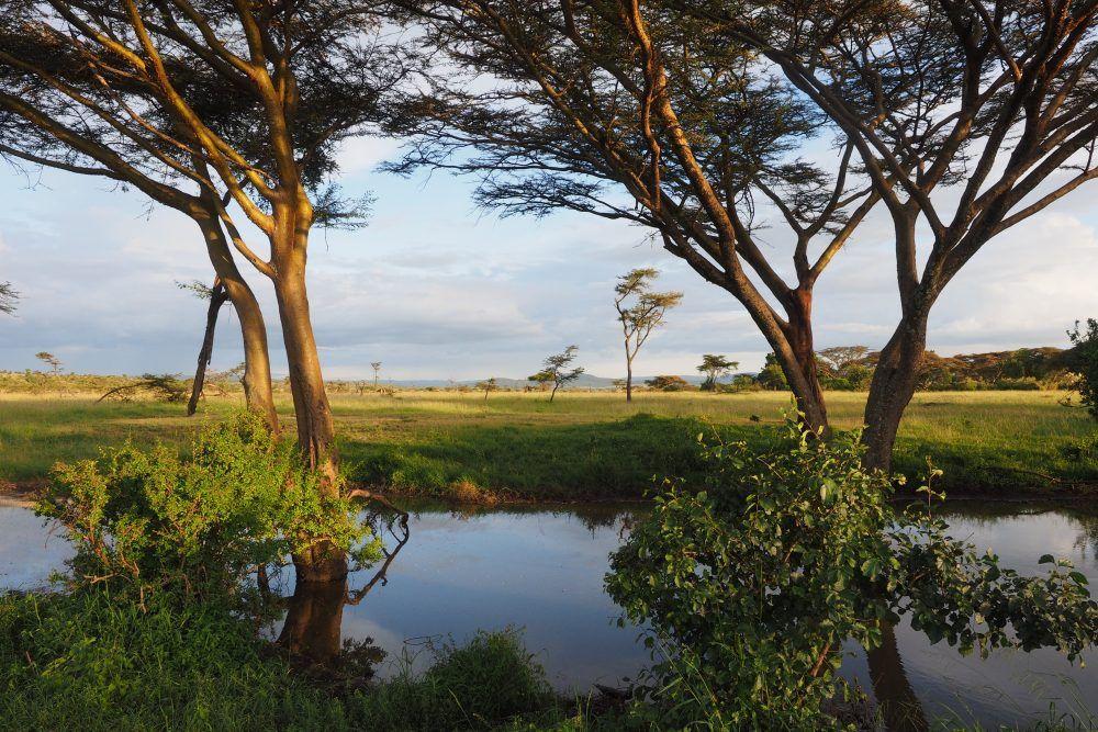 Landscape scenery in Masai Mara, Kenya.