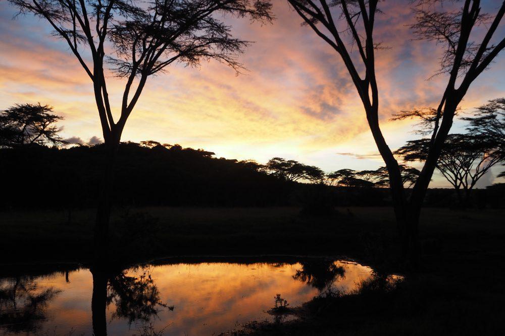 Sunset over the watering hole in Masai Mara, Kenya.