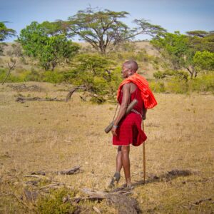 One Maasai man standing on the savannah in Masai Mara, leaning on his spear and looking out into the distance.