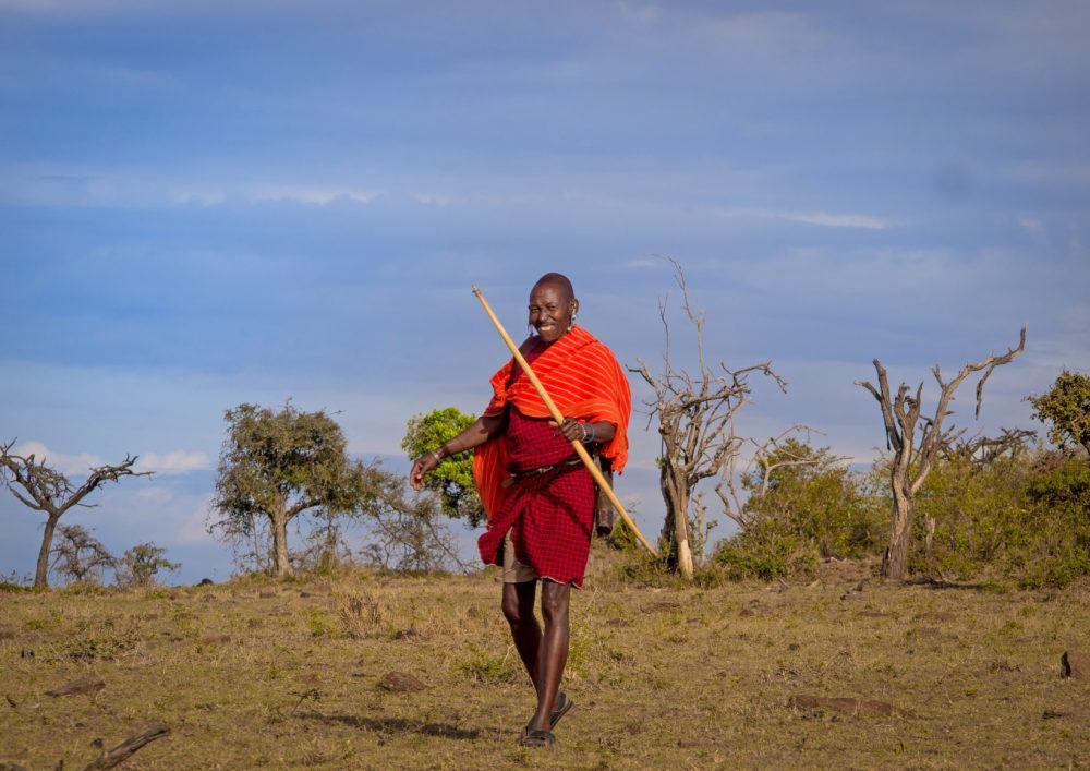 Maasai man walking on the savannah in Masai Mara, and smiling with a spear in hand.