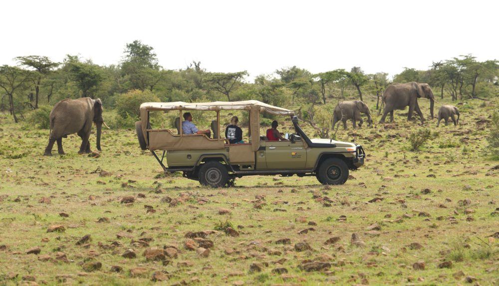 What is a game drive | Masai Mara Safaris | Basecamp Explorer