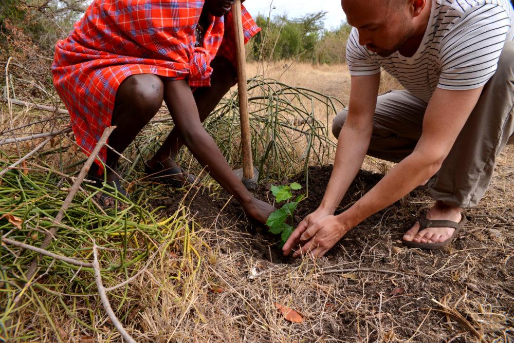 Basecamp Explorer planting of tree sapling in Masai Mara, Kenya.