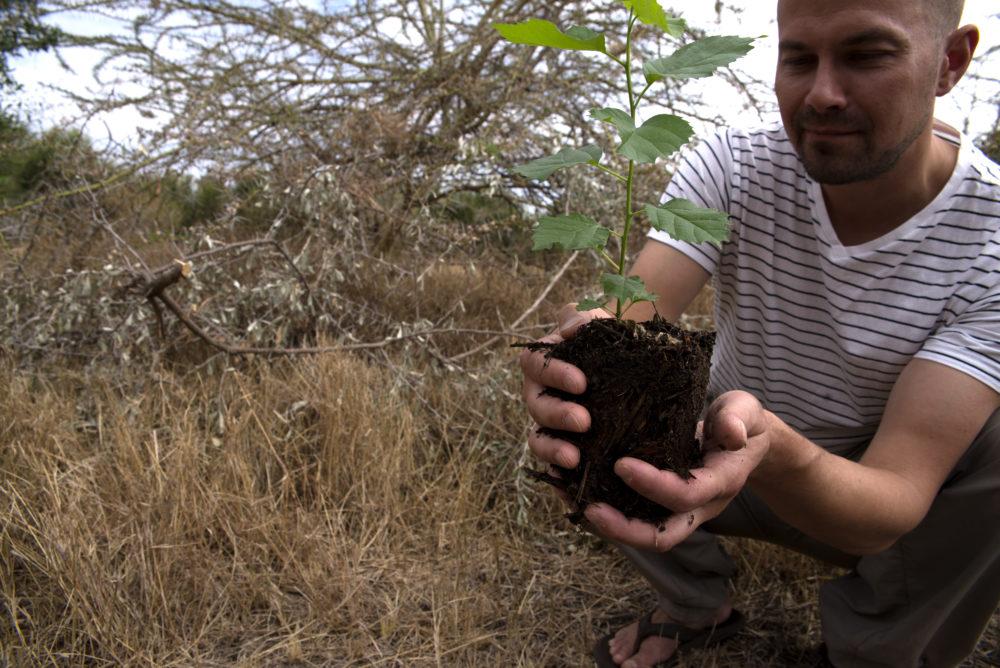 Man holding mound of soil with tree sapling, crouching in the bushes.