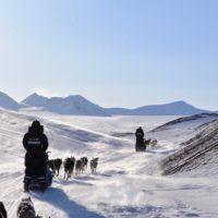 Two teams of sled dogs running through arctic valleys on a Basecamp Explorer dogsledding adventure on Svalbard.