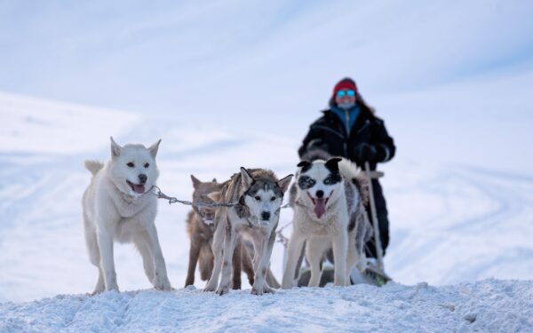 Basecamp Explorer dogsledding adventure through arctic valleys in Spitsbergen.