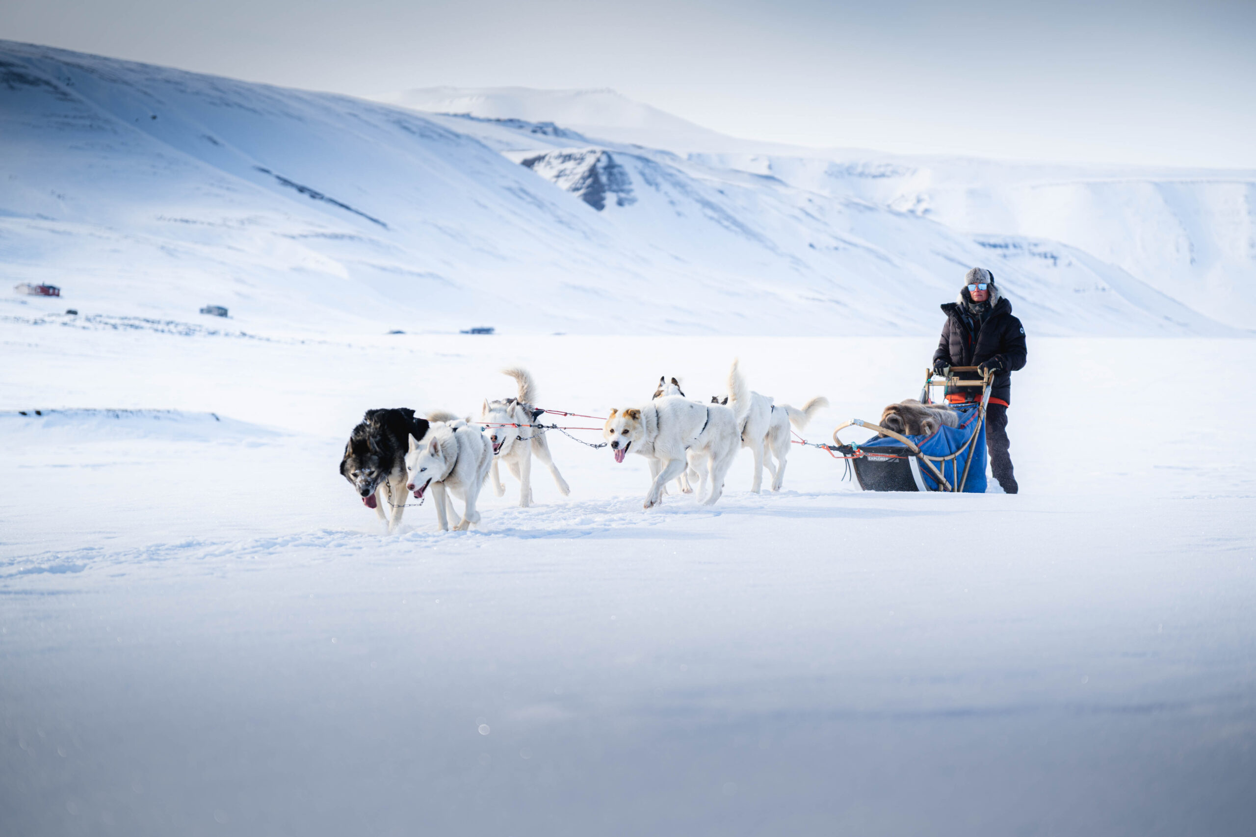 Dog sledding | Expedition | Svalbard | Basecamp Explorer